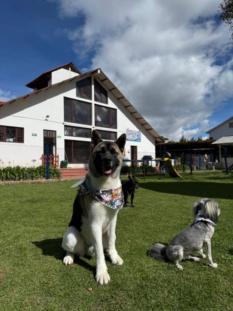IMG 20250728 WA0008 768x1024