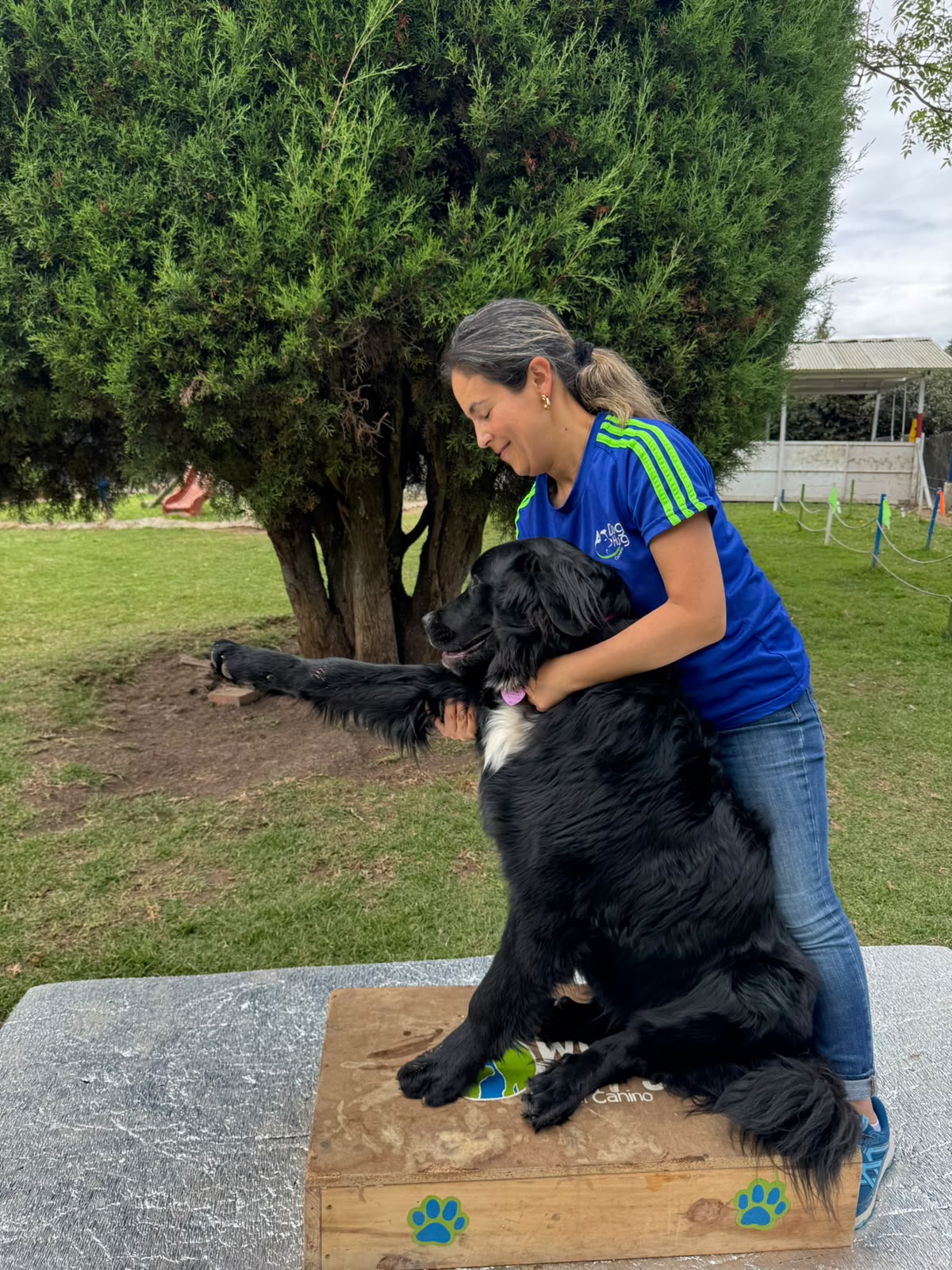 Perro feliz en Dog Hug